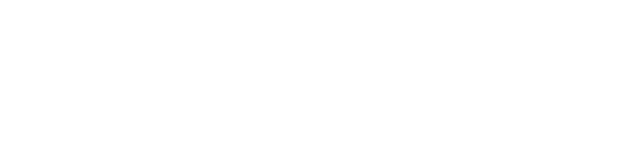 SEO Zone Web Design, Houston, 77070